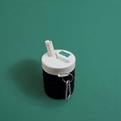 Travel Bidet