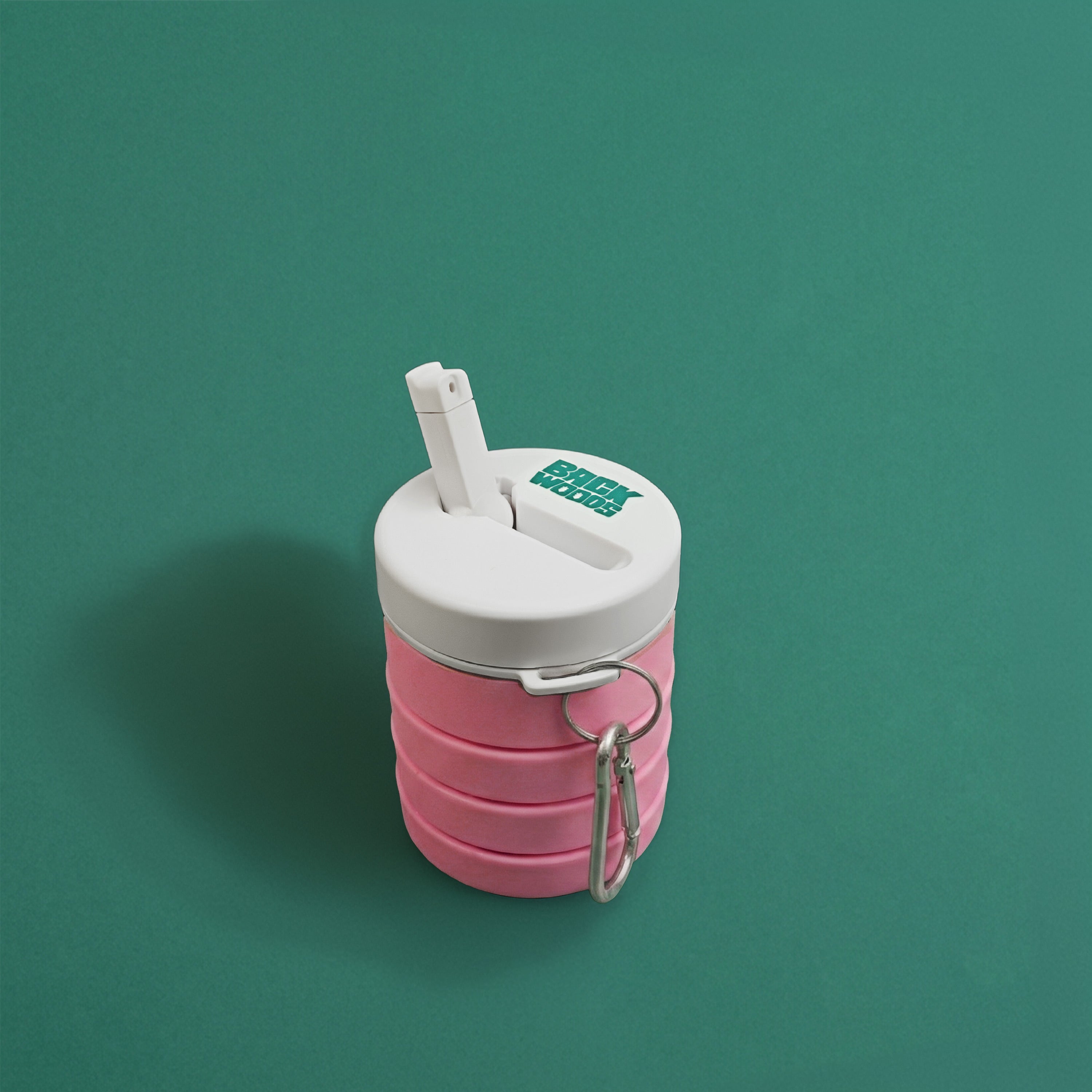 Travel Bidet